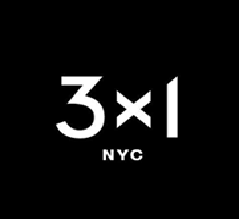 3x1